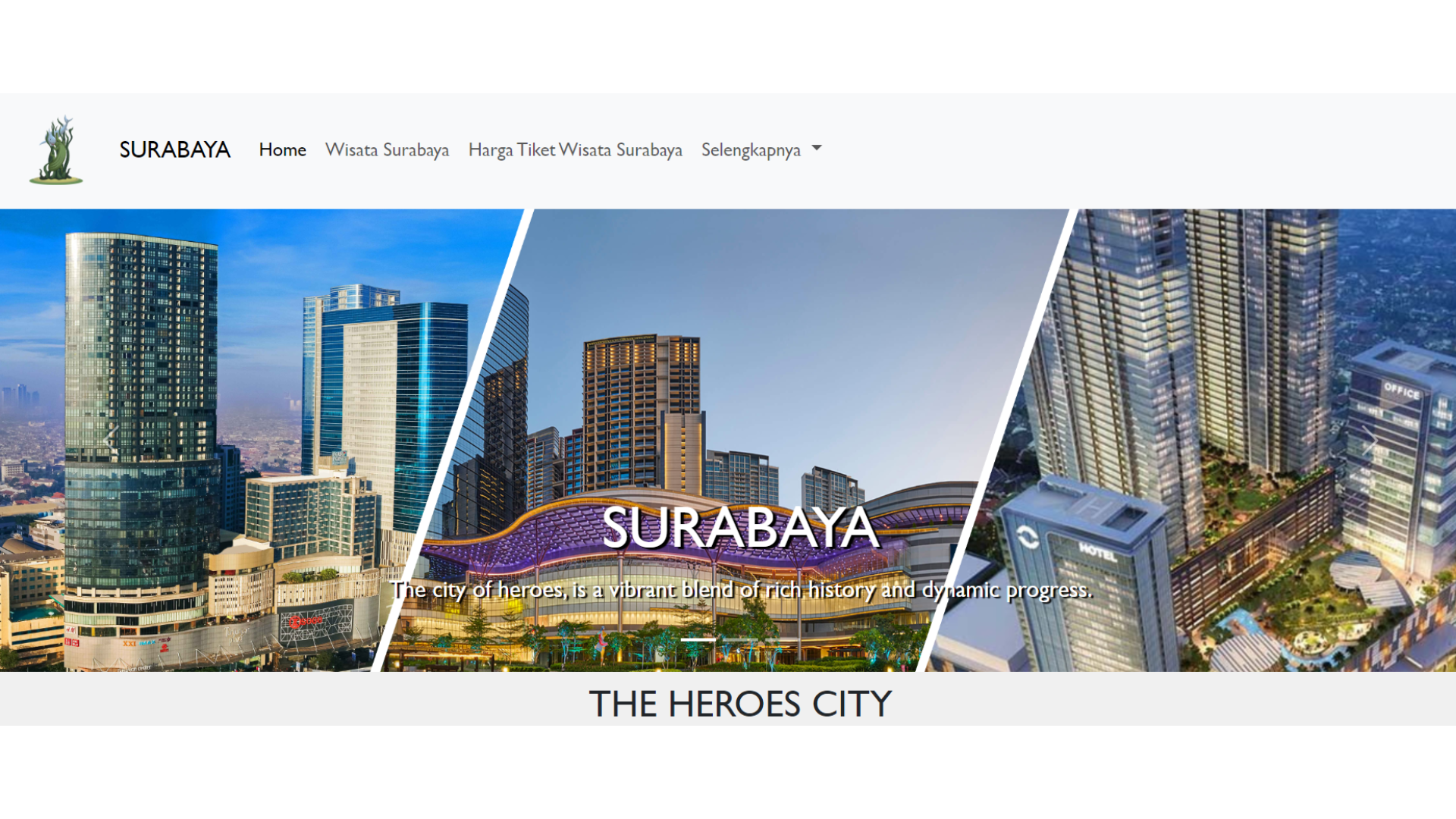 City Website Project
