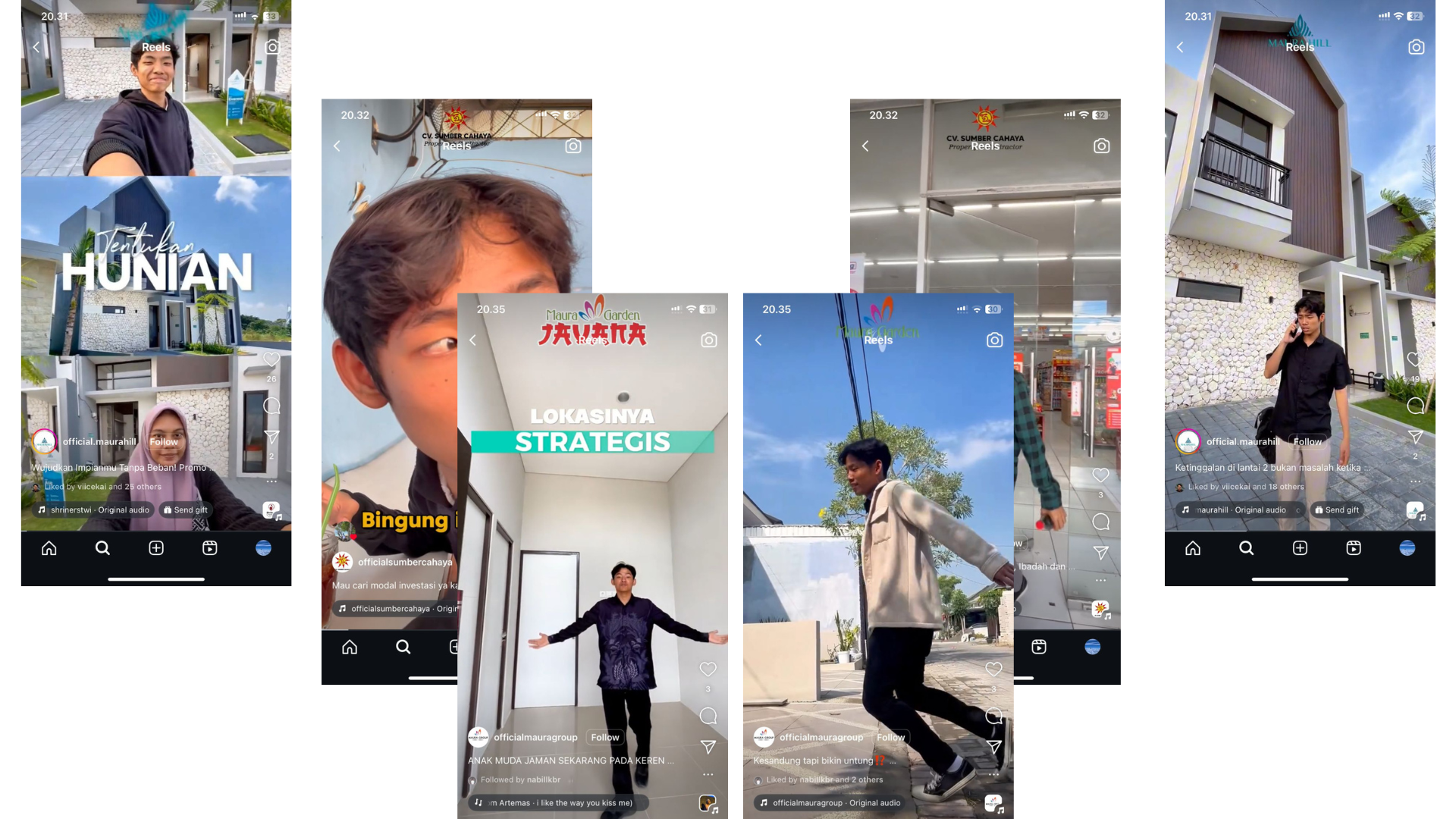 Professional Experience